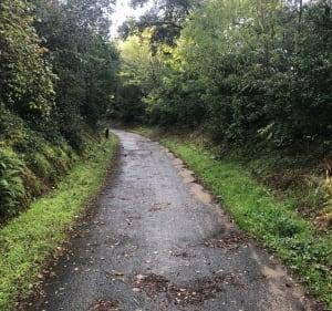 Tour de la forêt de la Coubre - Les Mathes - 2