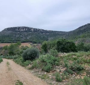 Au pied des barres de Cuers par l'Allamande - Cuers - 2