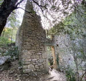 Du château de Joucas aux Gorges de Véroncle - Joucas - 5