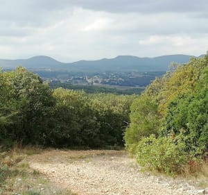 Balade dans les bois de Chabriac - Vagnas - 2