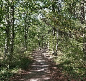 Arnières et les hauts du village par le Belvédère - Arnières-sur-Iton - 2