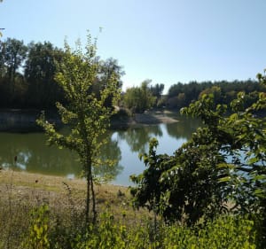 Sur les hauteurs de Sainte-Bazeille - Christophe - 3