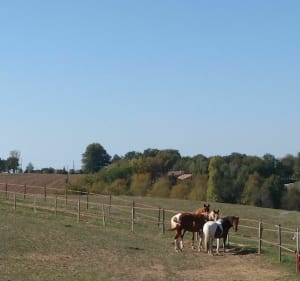 Sur les hauteurs de Sainte-Bazeille - Christophe - 4