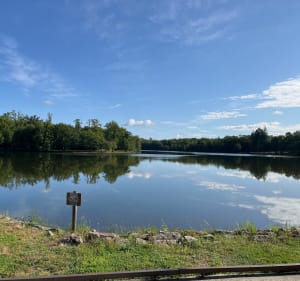 Les sous-bois verdoyants de Saint-Estèphe - Saint-Estèphe - 3