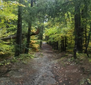 Tour du Danay et Bois de la Pézerette par les Confins - Sophie - 3