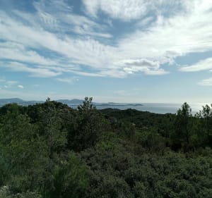 All mountain dans les collines du Rove - Vitrolles - 2