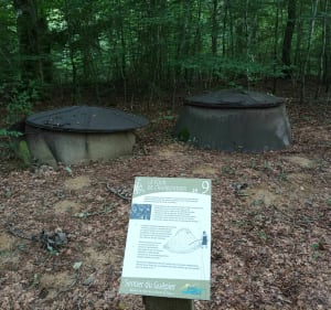 Le sentier du guêpier - Étrepigney - 2