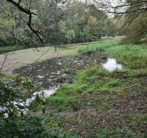 Boucle la Meignanne, Pruillé, Juigné, Terra Botanica. - Angers - 2