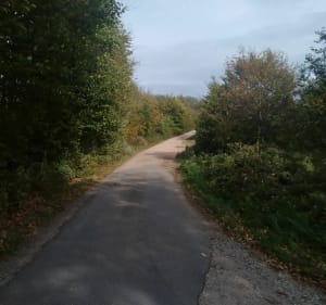 Balade en forêt des Colettes - Davy - 3