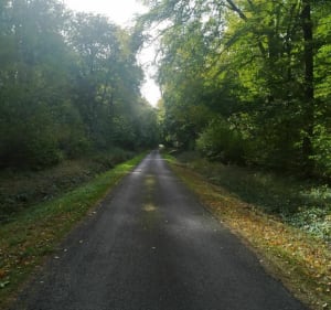 Balade en forêt des Colettes - Coutansouze - 2