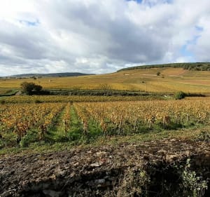 Nord de Beaune par les vignes et villages - Beaune - 2