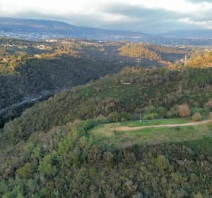 Autour de Mouans-Sartoux - Mougins - 2