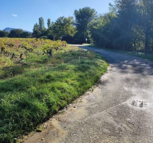 Balade en vélo campagne de Valréas - Valréas - 2