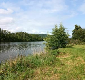 Petit sortie au bord de la Moselle et sûr la voie verte - Le Ban-Saint-Martin - 2