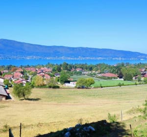 Du village de Bluffy au château de Menthon Saint-Bernard - Bluffy - 3