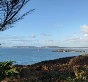 Des Falaises de Trez Bihan au Fort de l'Aber - Telgruc-sur-Mer - 2