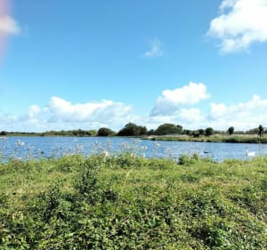 Sentier côtier et balade dans les marais sur l'île d'Oléron - Benoit - 4