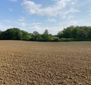 Boucle champêtre et forestière à Courcelles-sur-Nied - Courcelles-sur-Nied - 2