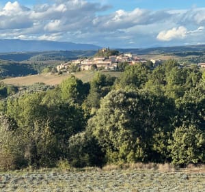 Plateau d’Entrevennes - Entrevennes - 2