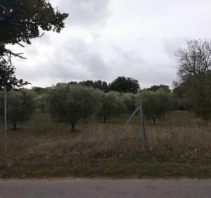 Un coeur de Provence - Éguilles - 2