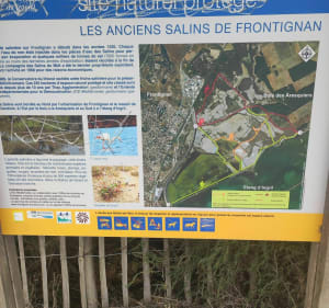 Salins de Frontignan - Frontignan - 4