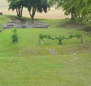 De Compiègne aux ruines de Champlieu - Compiègne - 2