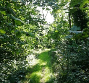 Ouvrage de Saint-Blaise - Augny - 2