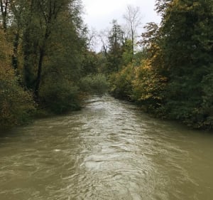 Balade entre Haironville et Ville-sur-Saulx - Charles - 3