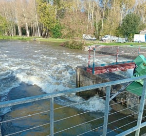 Autour de Magné . - Magné - 2