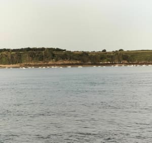 Belle balade de bord de mer à la Pointe de Meinga - Dominique - 3