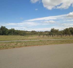 Sortie direction le château d'Apremont - Maché - 2