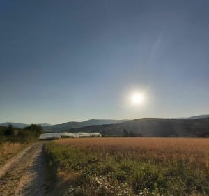 Suc des Pins via Samoyas - Boulieu-lès-Annonay - 2