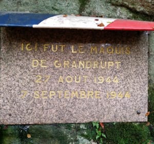 Maquis de Grandrupt - Grandrupt-de-Bains - 2