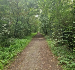 Promenade dans le marais de Biache - Biache-Saint-Vaast - 2