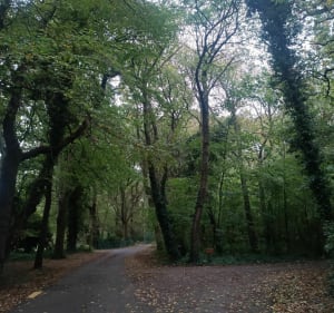 Balade entre Ault et le bois de Cise - Ault - 2