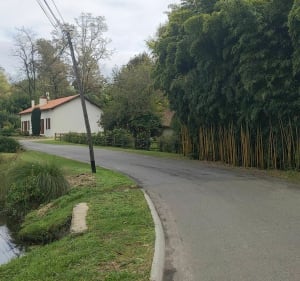 Balade à vélo via les étangs et les jolis petits villages autour de Mont-de-Marsan - Bougue - 2