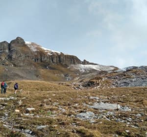 Tête pelouse depuis Flaine - Diane - 3