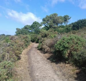 Etel - Le Dolmen de Kerlutu et le chemin côtier de la Ria - Étel - 2