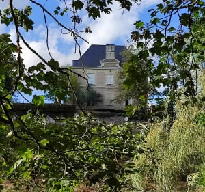 De Vertou à la La Haie-Fouassière par le Château Thebaud Sèvre et Maine - Vertou - 2
