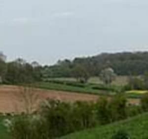 Marche à Souplicourt - Hescamps - 2