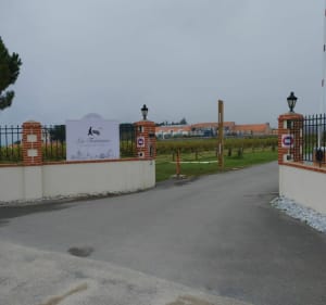 Entre terre et mer autour de Pornic - La Bernerie-en-Retz - 2