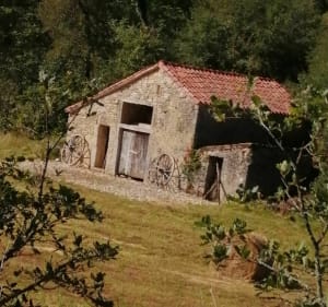 Boucle Constans, Larroque des Arcs et Saint Pierre Lafeuille - Bellefont-La Rauze - 2