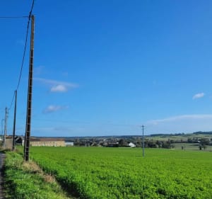 De Cenon à Targé en passant par Senillé - Naintré - 2
