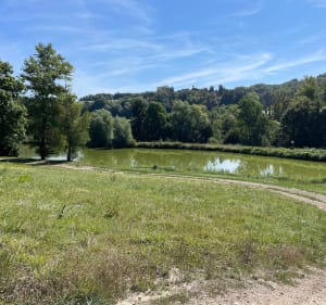La boucle entre  Badinieres - Les Eparres - Chateauvilain - Philippe - 2