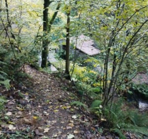 Col de l'Egrillou par les pistes - Serres-sur-Arget - 2