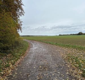 Neufchef et forêt de Moyeuvre et des Allemands - Neufchef - 2