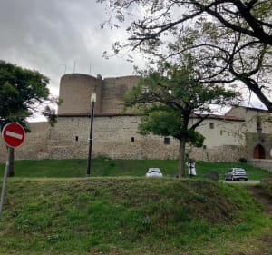 La campagne à la ville…autour de Montrond les Bains - Montrond-les-Bains - 2