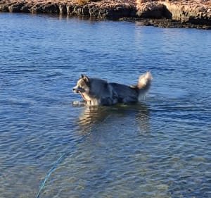 Terre, air, mer à la Couronne - Martigues - 2