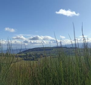 Le signal de St André, par les marches, retour par la Côte - Chaussan - 2