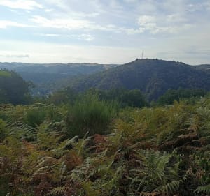 Ambialet et boucle du Ségala par Roxis - Saint-Cirgue - 2